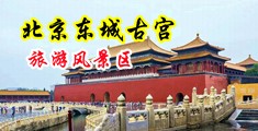 巨大吊肏老骚屄网中国北京-东城古宫旅游风景区